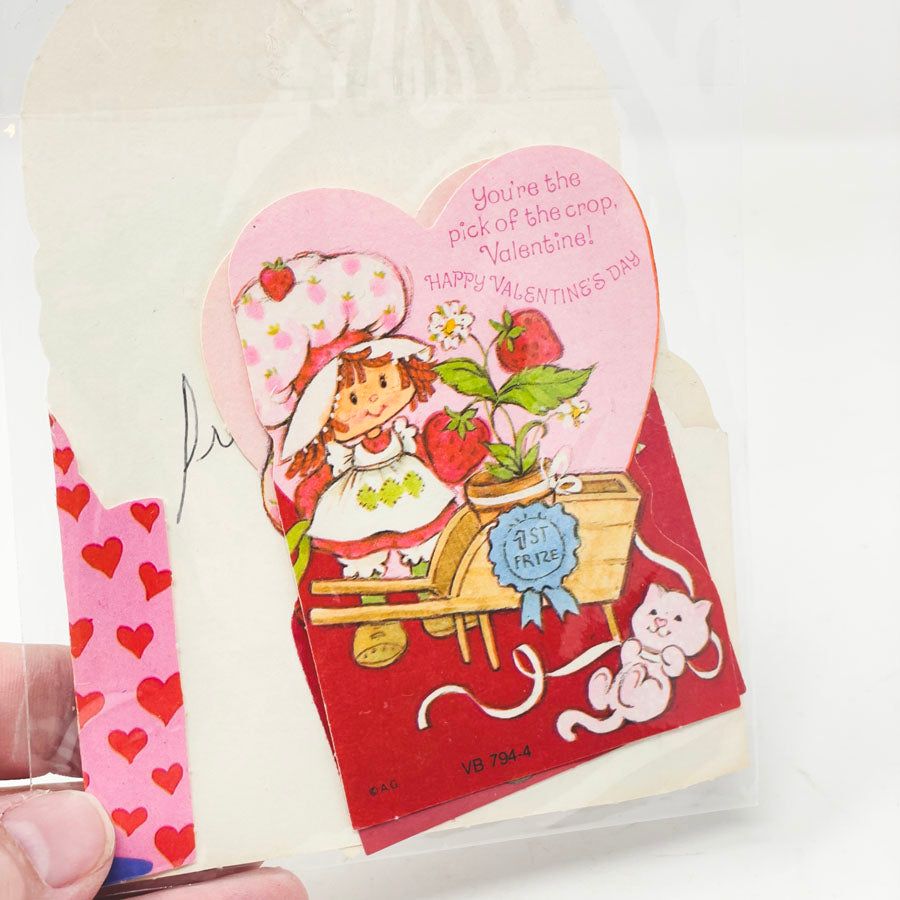 Vintage Signed Classroom Valentine Cards Bundle