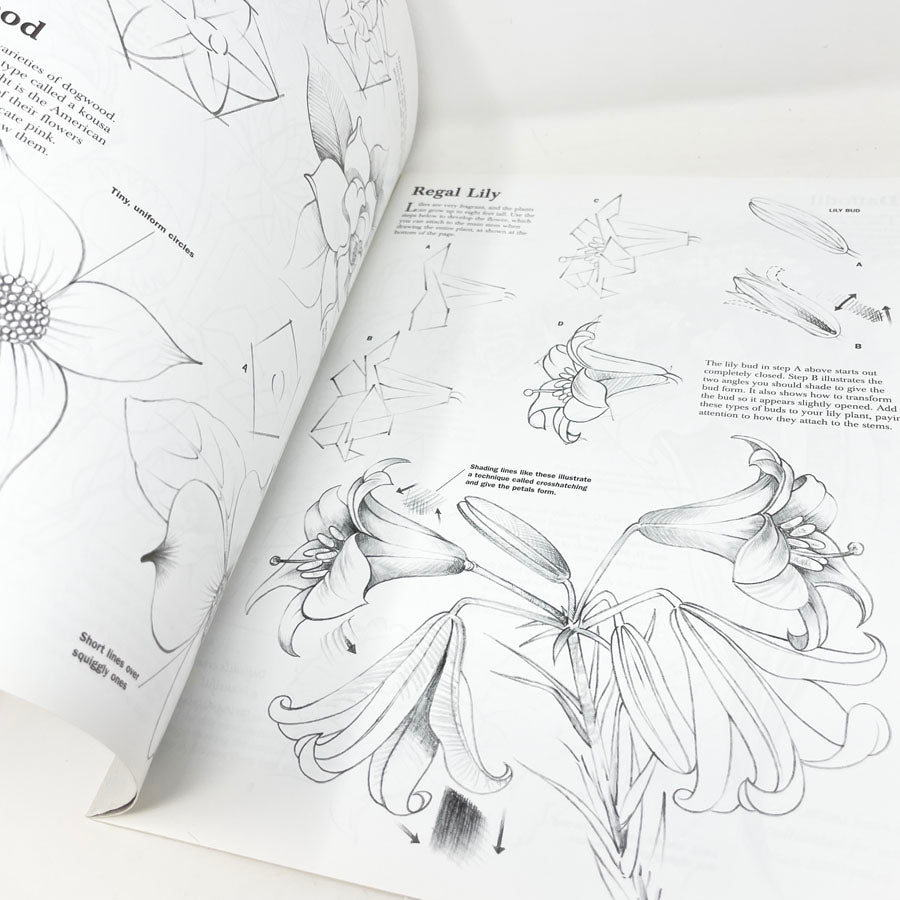 Flowers with William F. Powell