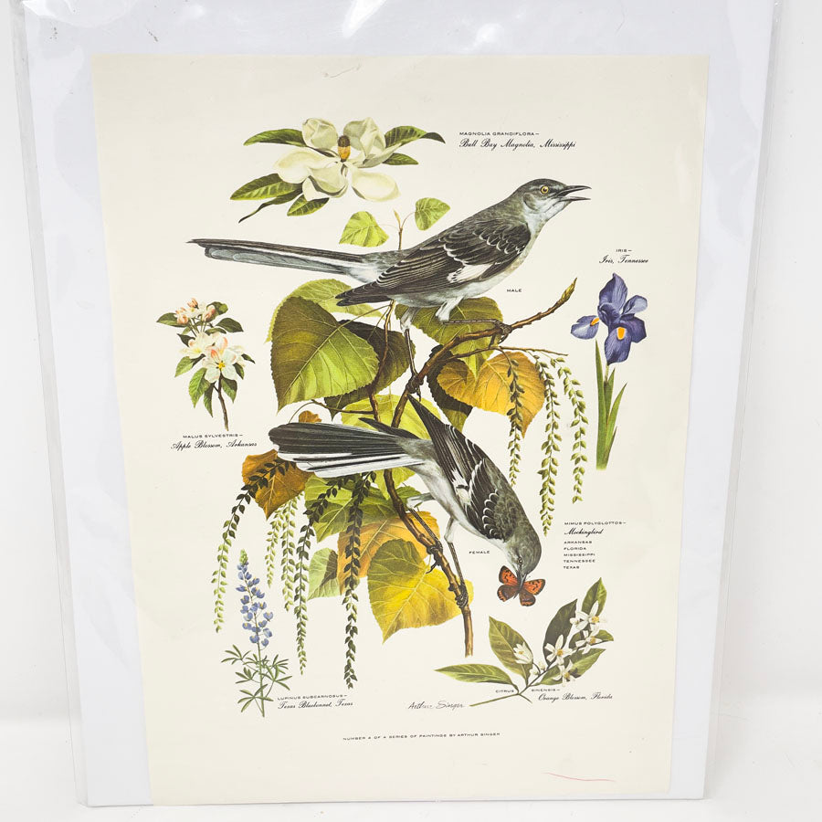 Vintage Arthur Singer Bird Prints - Book Pages