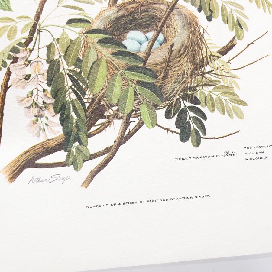 Vintage Arthur Singer Bird Prints - Book Pages