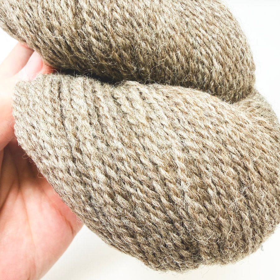Purl Soho Good Wool Yarn – Walking Stick (1)