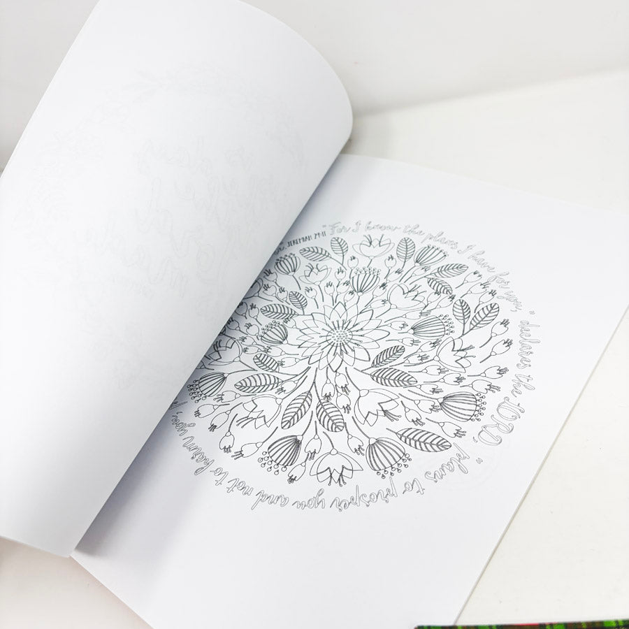 Beauty In The Bible Coloring Book