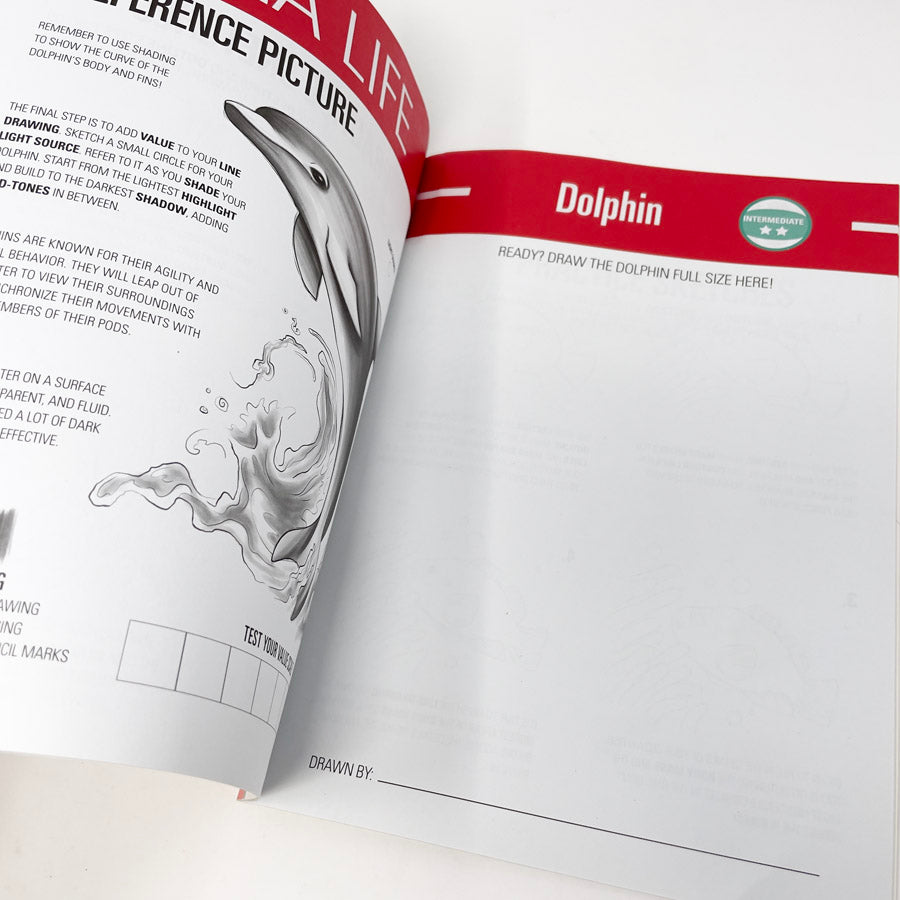 iDraw Sea Life Tutorial Book