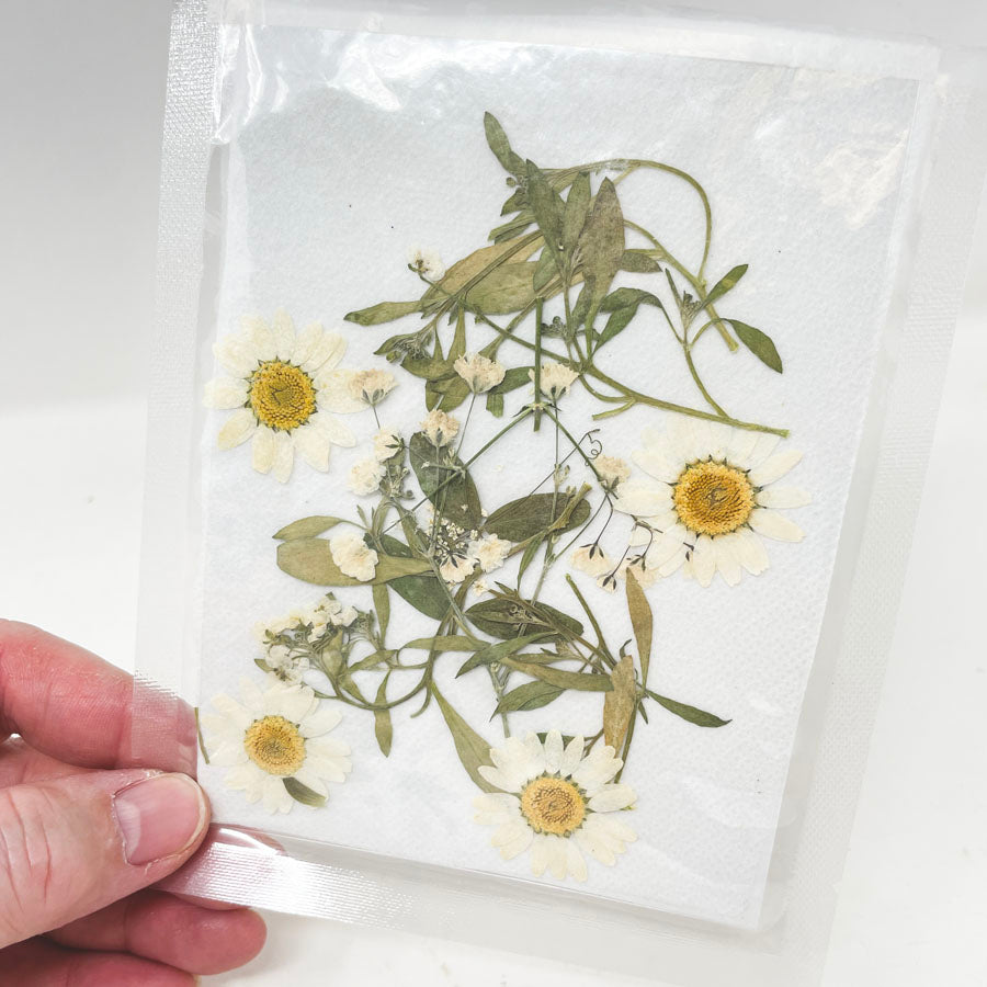 Dried Flower Packs