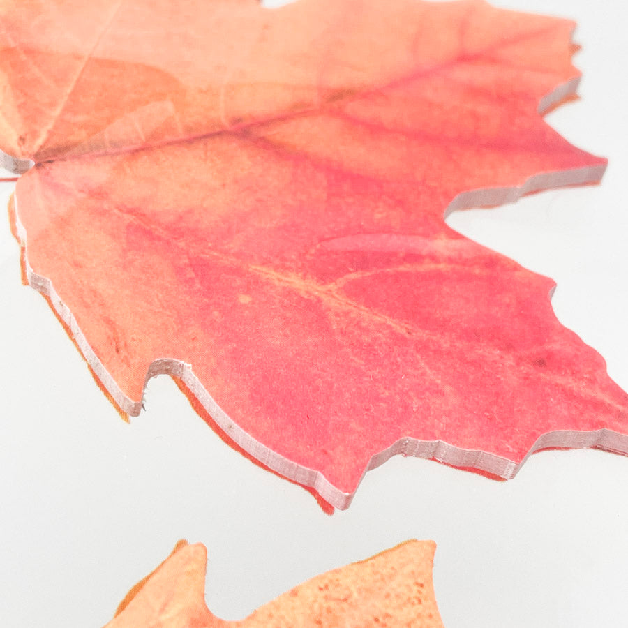 Sticky Leaf Maple Memo Notes