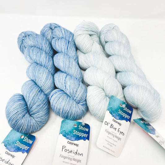 Show Stopper Yarn by Leading Men Fiber Arts (1)