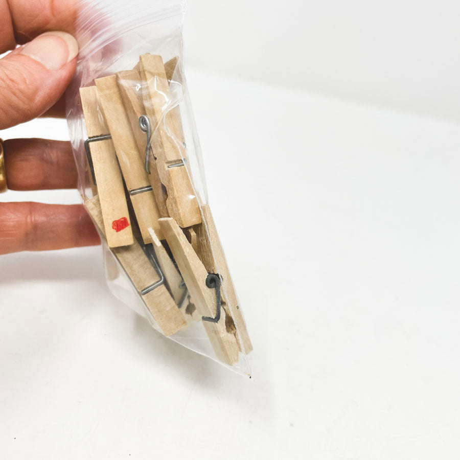 Bundle Small Wood Clothespins