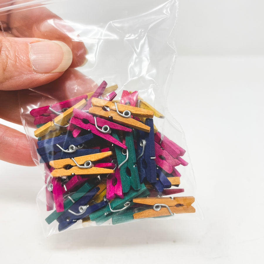 Bundle Small Colored Wood Clothespins