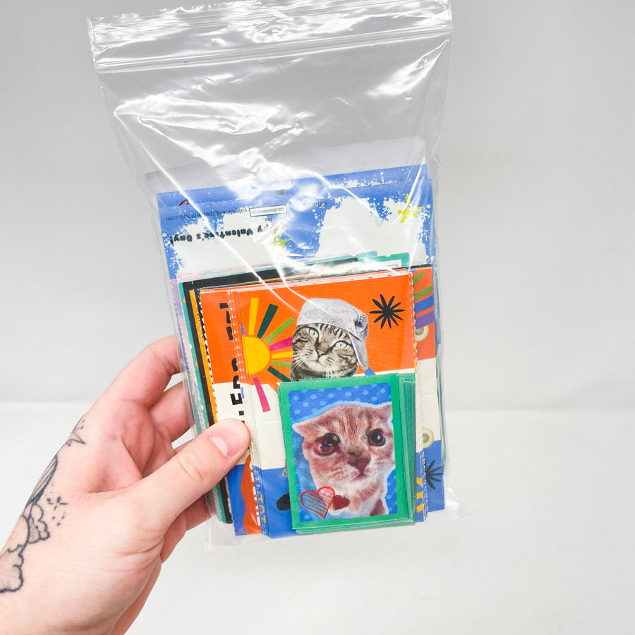 Animal Friends Valentine Jumble Bundle