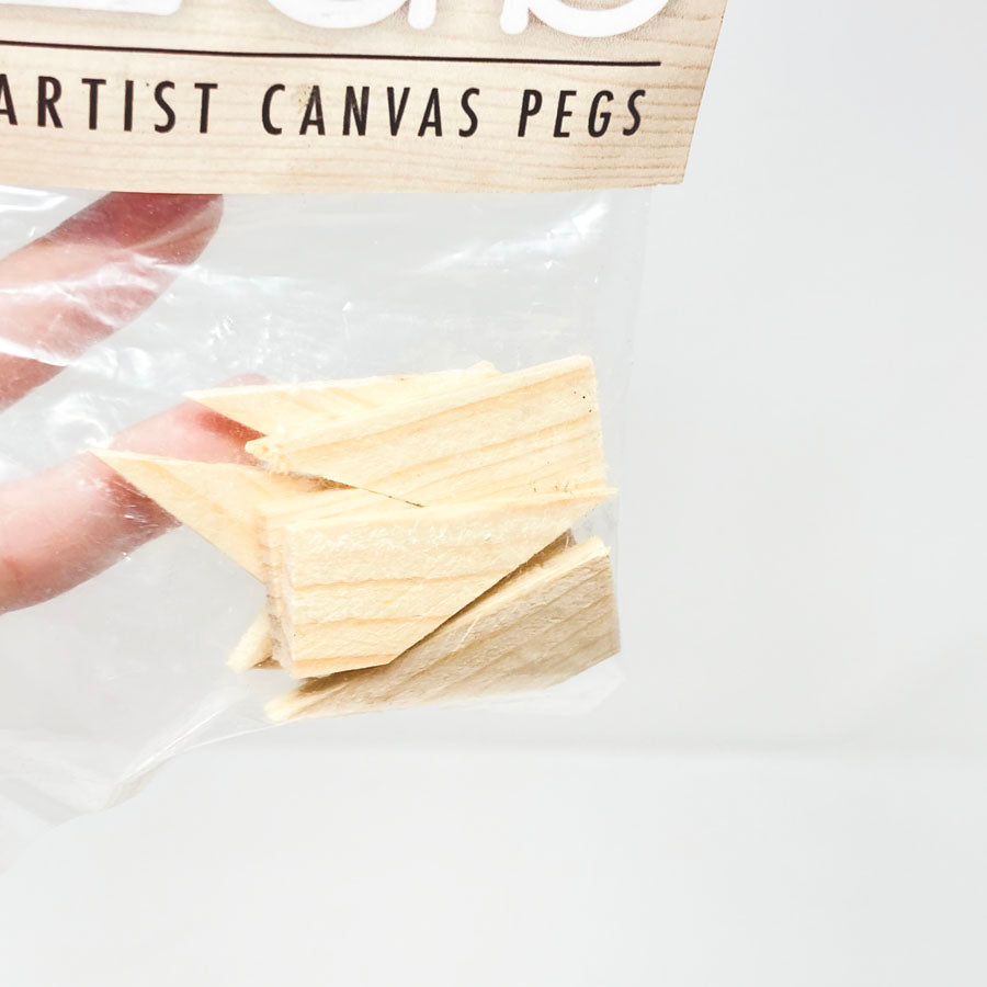 Fredrix Canvas Pegs (1)