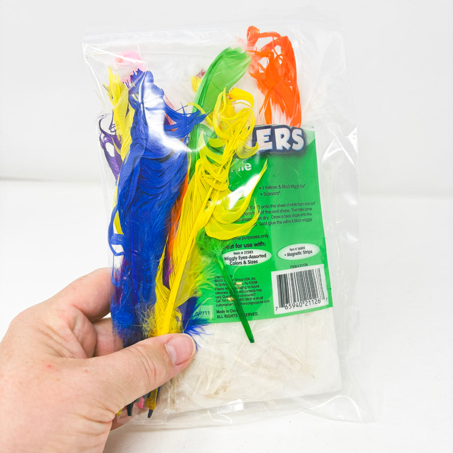 Craft Feather Bundle