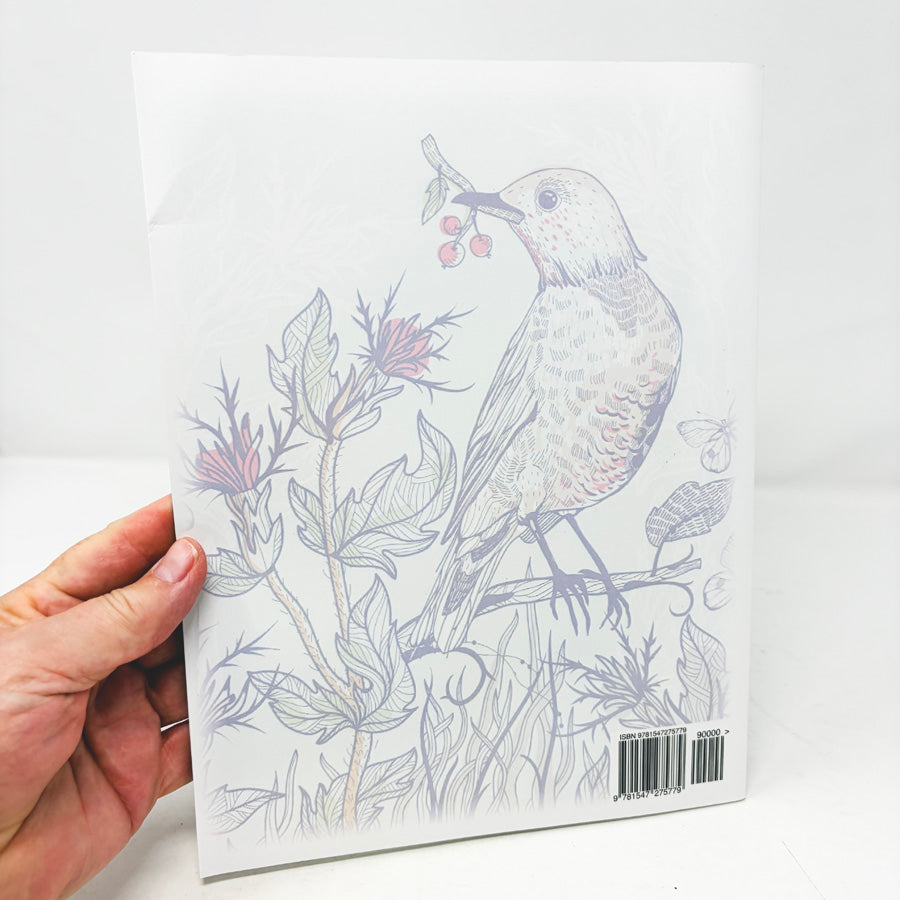 Beautiful Birds Coloring Book