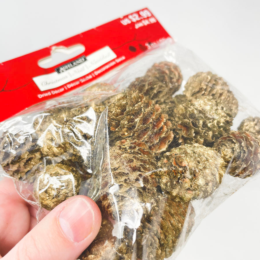 Ashland Dried Gold-Accent Pinecone Decor