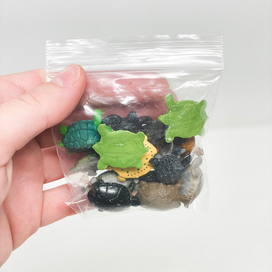Tiny Turtles