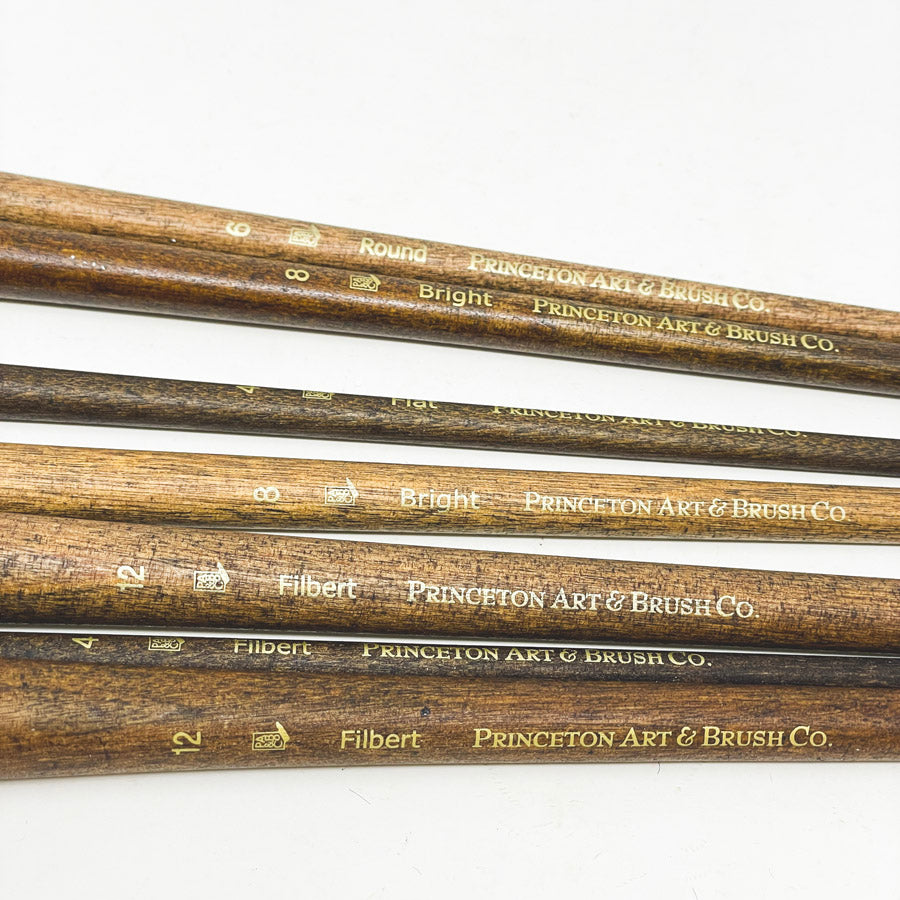 Princeton Art & Brush Co. Real Value Paintbrush Set (7)