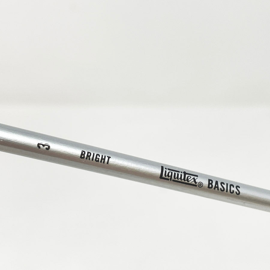 Asst. Bright/Flat Paint Brushes (1)