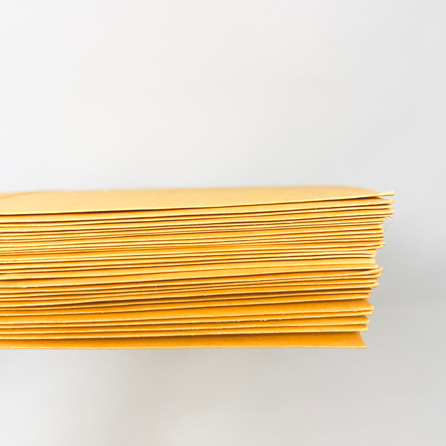 Manilla Envelopes 9 x 12 (28 ct)