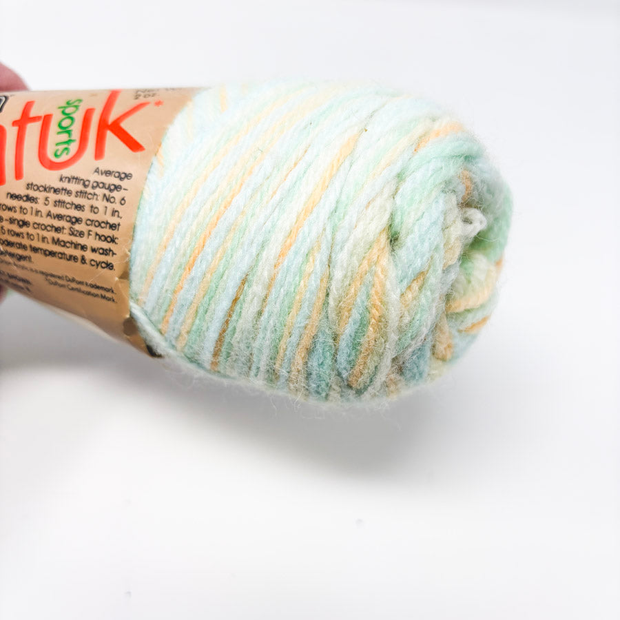 Caron Wintuk Sweet Spice Acrylic Yarn