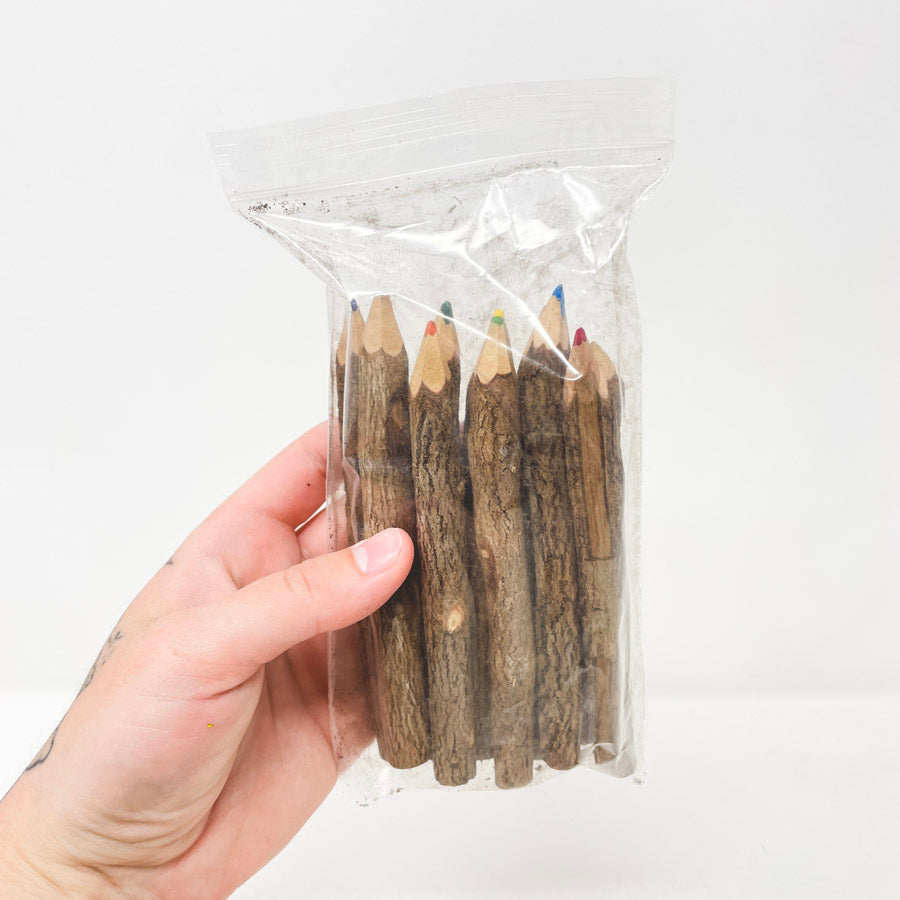 Natural Twigs Pencil Set