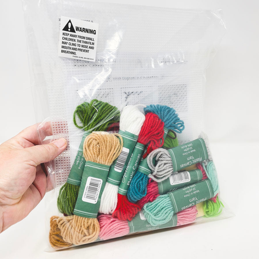 Herrschners Summer Treats Magnets Plastic Canvas Kit