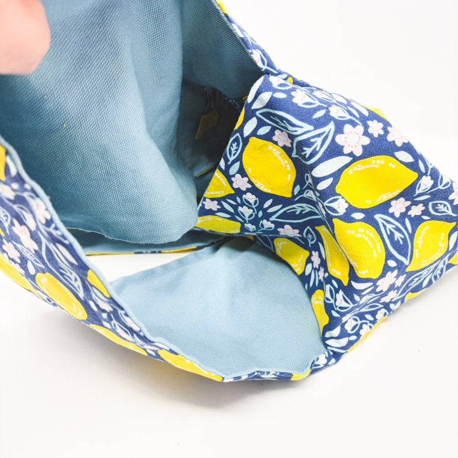 Beautiful Syster Lemon Project Pouch