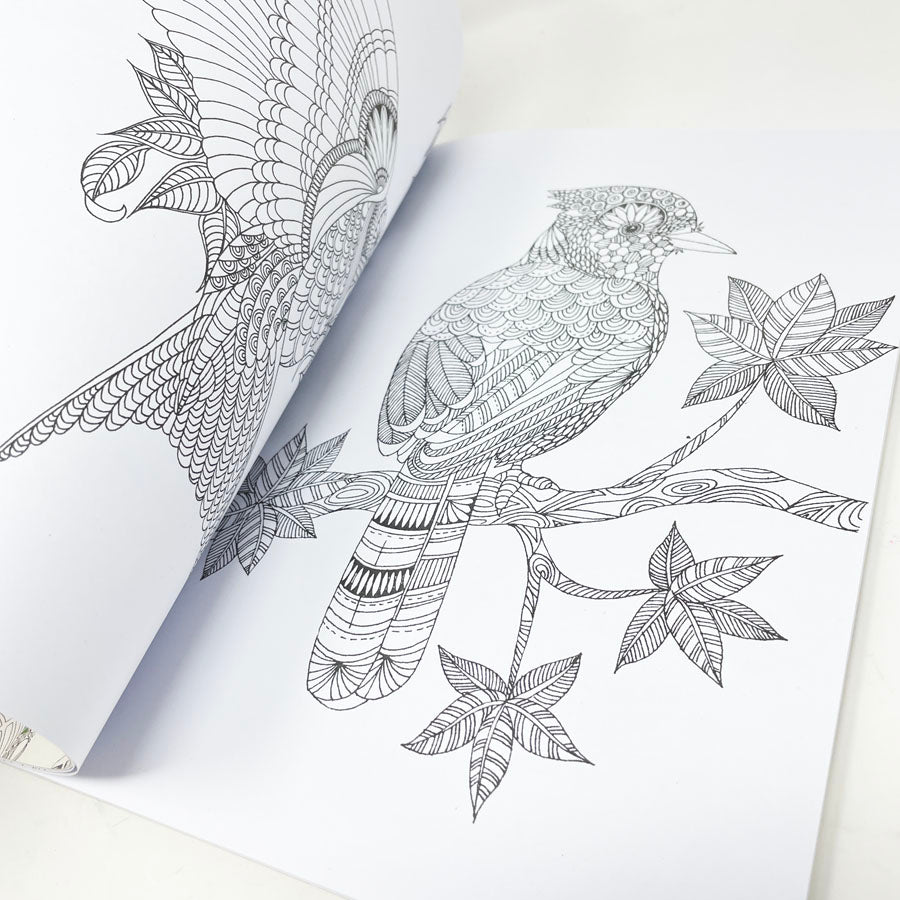 OceanIs Coloring Books