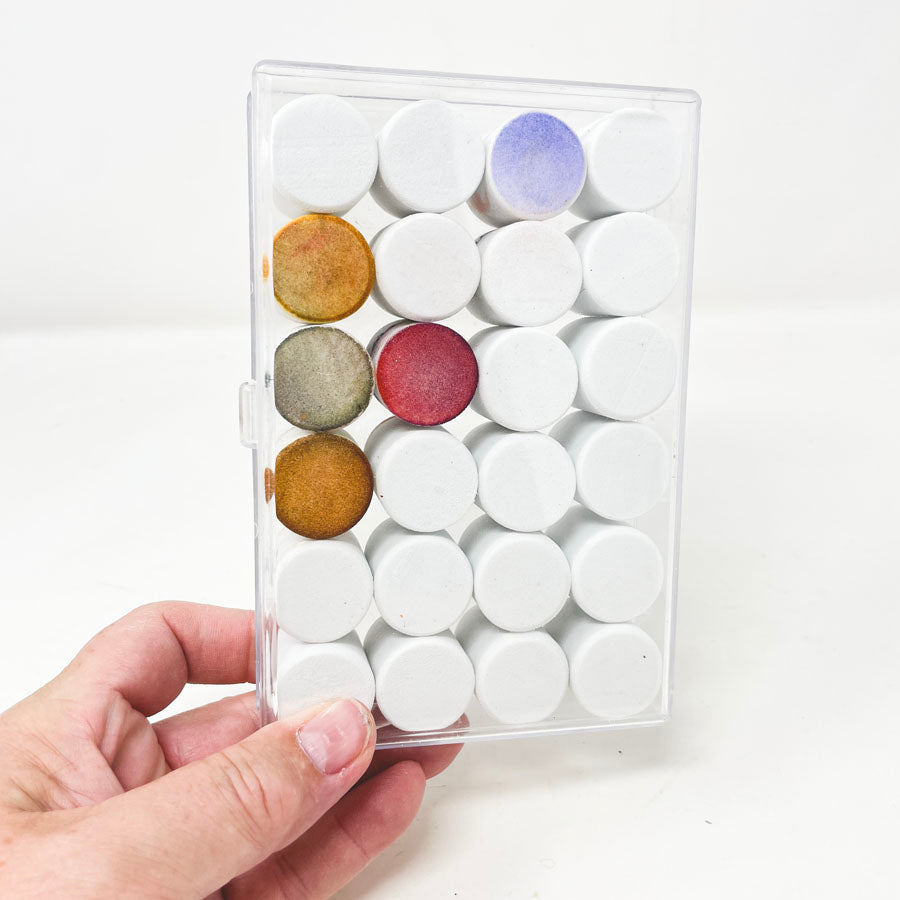 Sponge Dauber Set in Box (24)