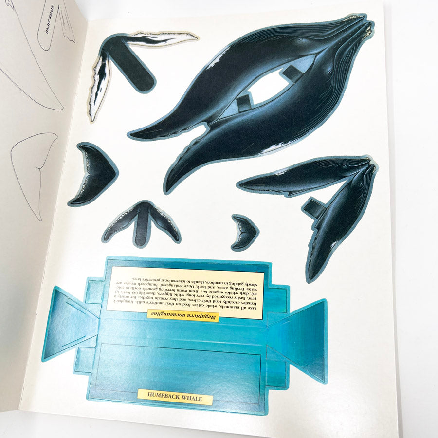 Dolphins & Whales Model Set