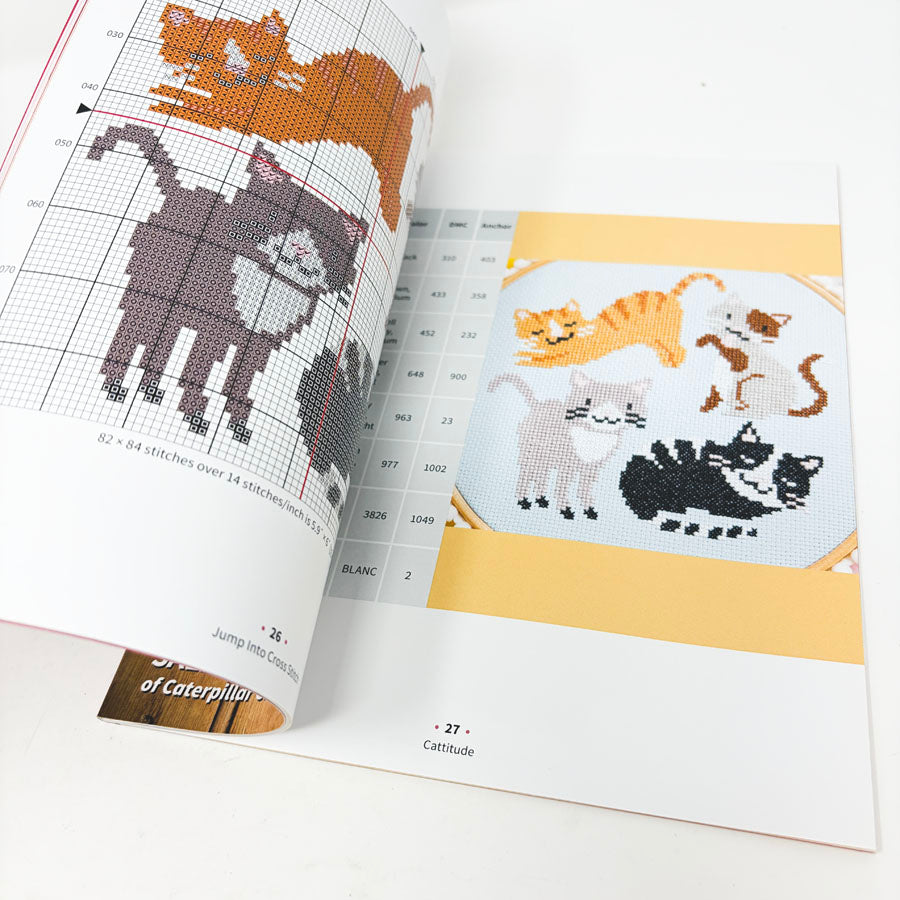 Jump Into Cross Stitch Book by Sally Wilson