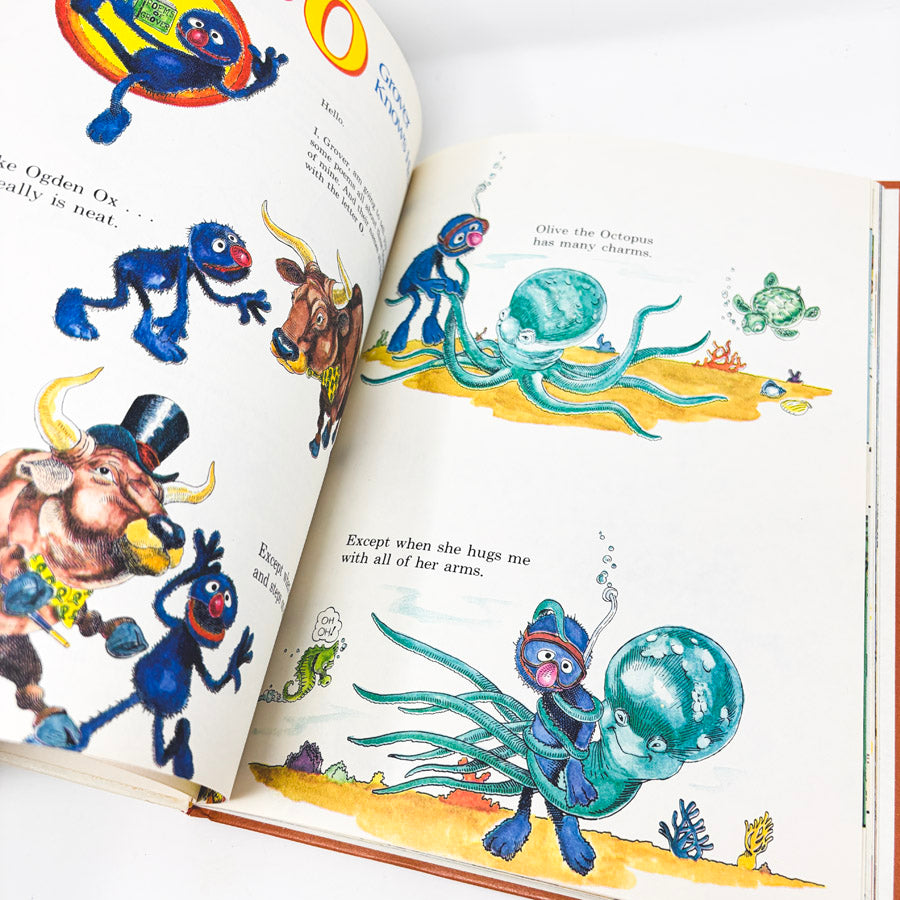 Vintage The Sesame Street Library Books
