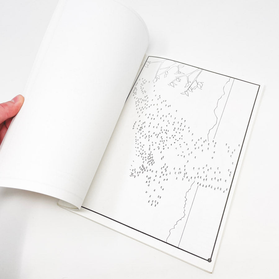 Extreme Dot to Dot Volume One Puzzle Book