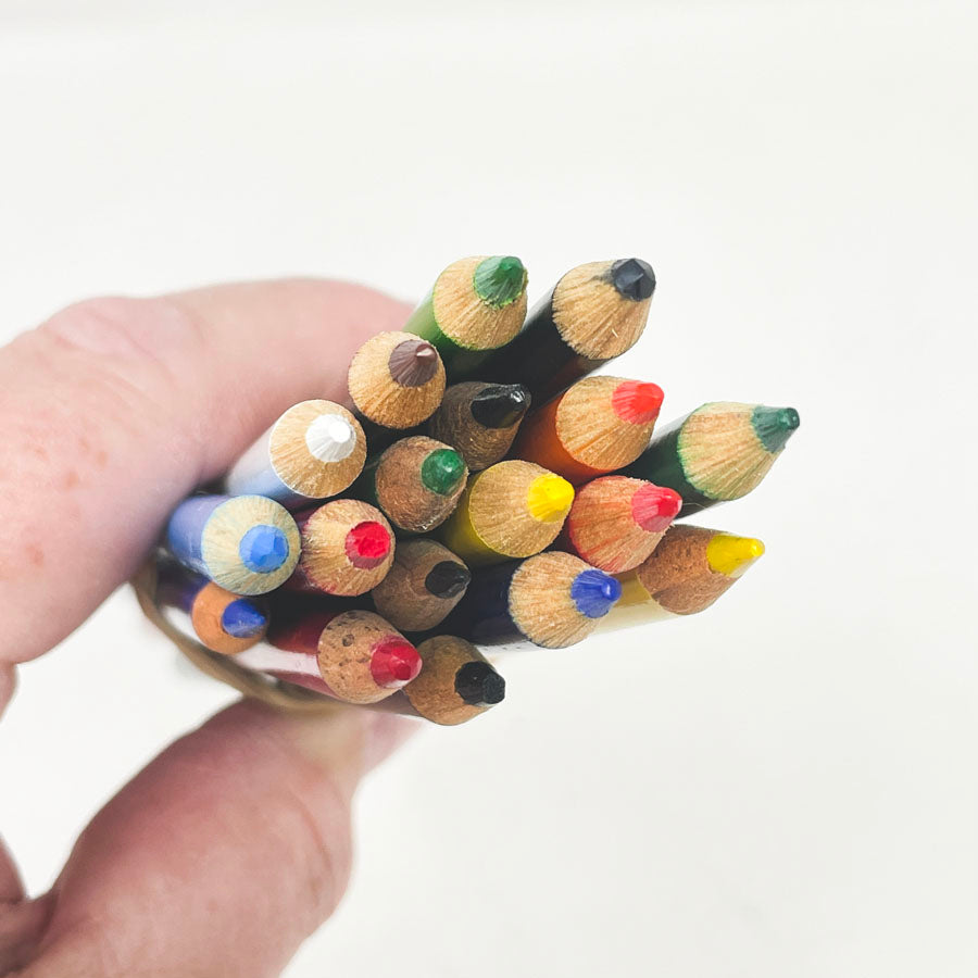 Crayola Erasable Colored Pencils (18 Bundle)