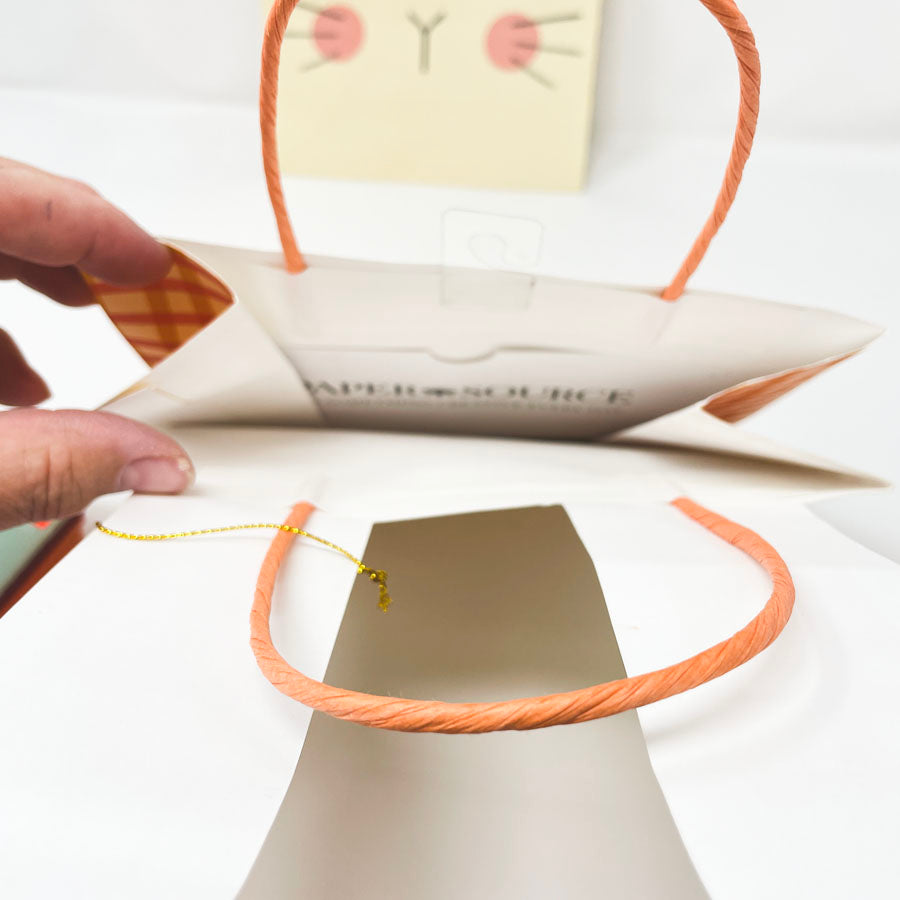 Paper Source Rabbit Gift Bags