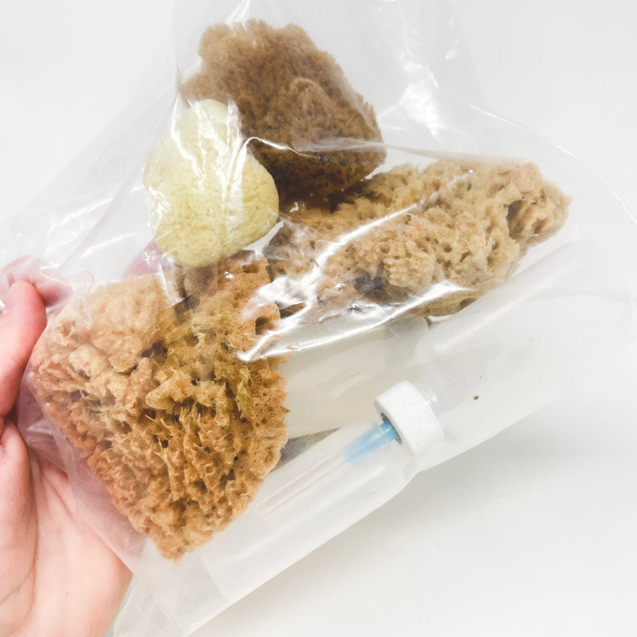 Natural Sponges and Bottle Bundle