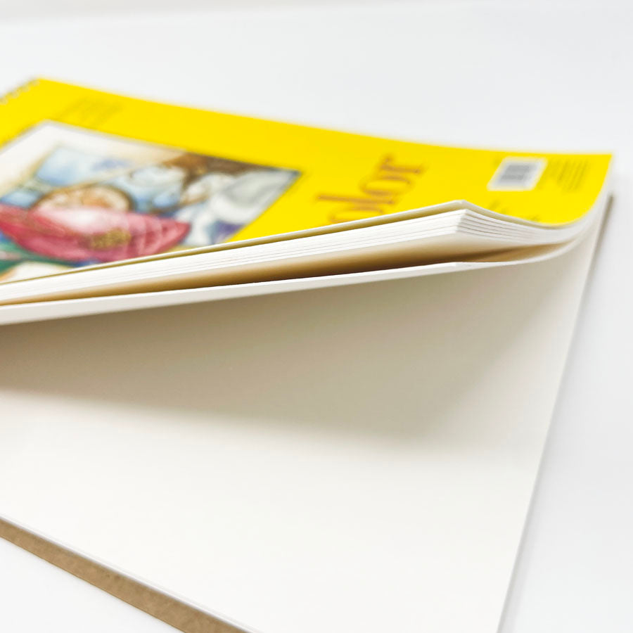 Strathmore 300 Spiral Bound Watercolor Pad 9" x 12"