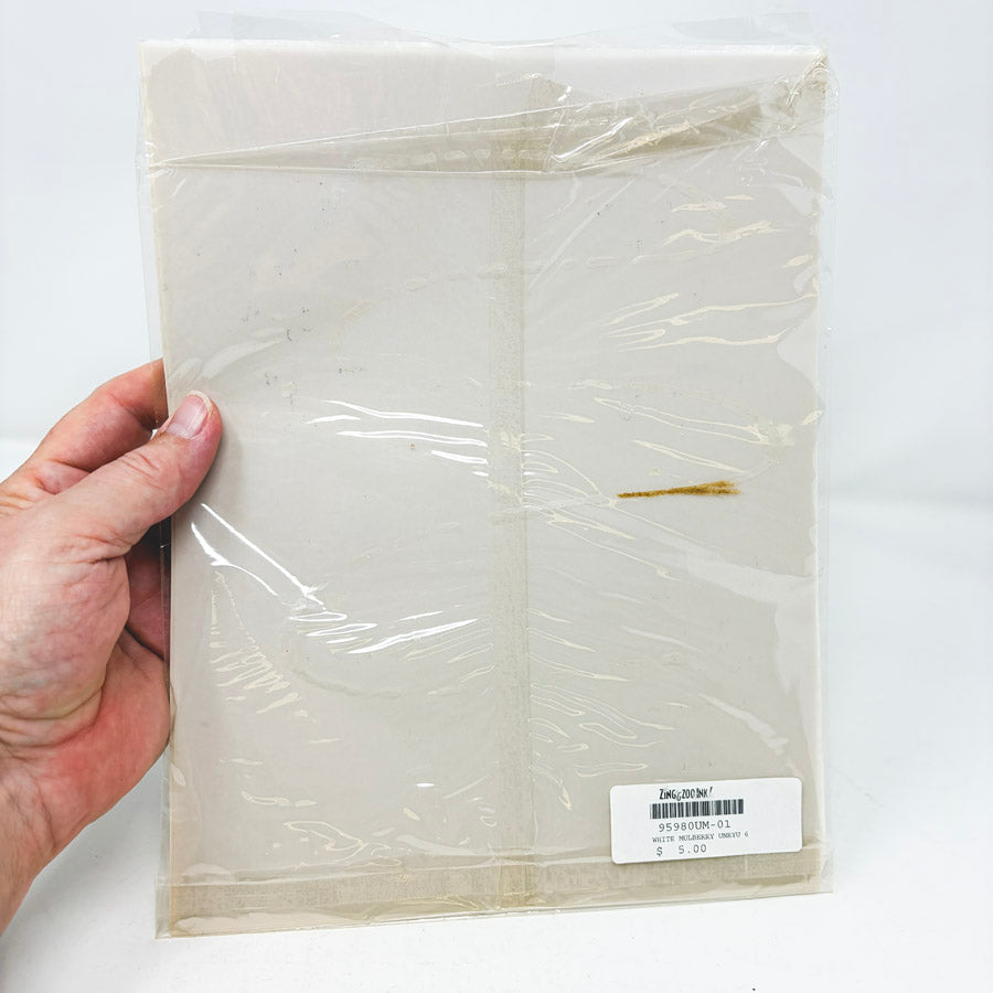 Asst Patterned Vellum Sheets 8.5"x11 by ZinggZooInk