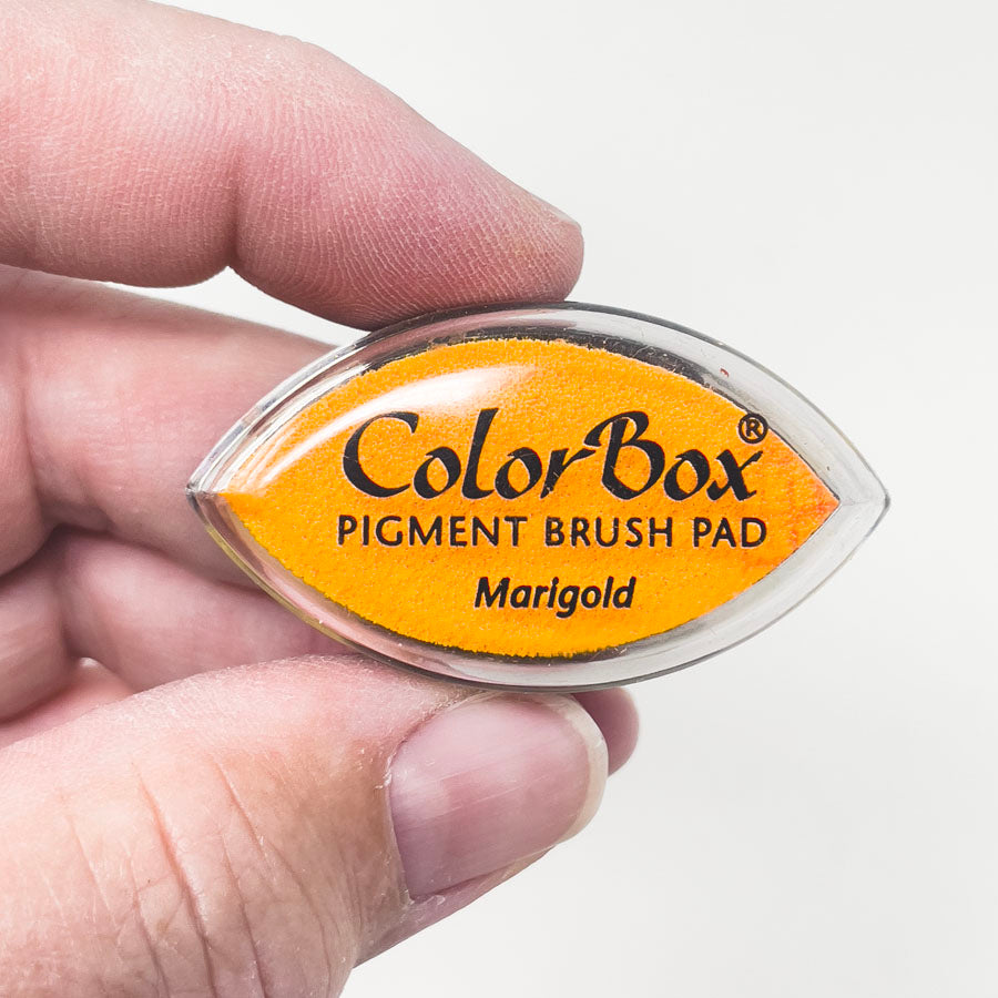 Mini Color Box Pigment Brush Pad - Marigold