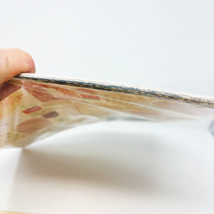 Foot-a-La 12x12 Paper Pack