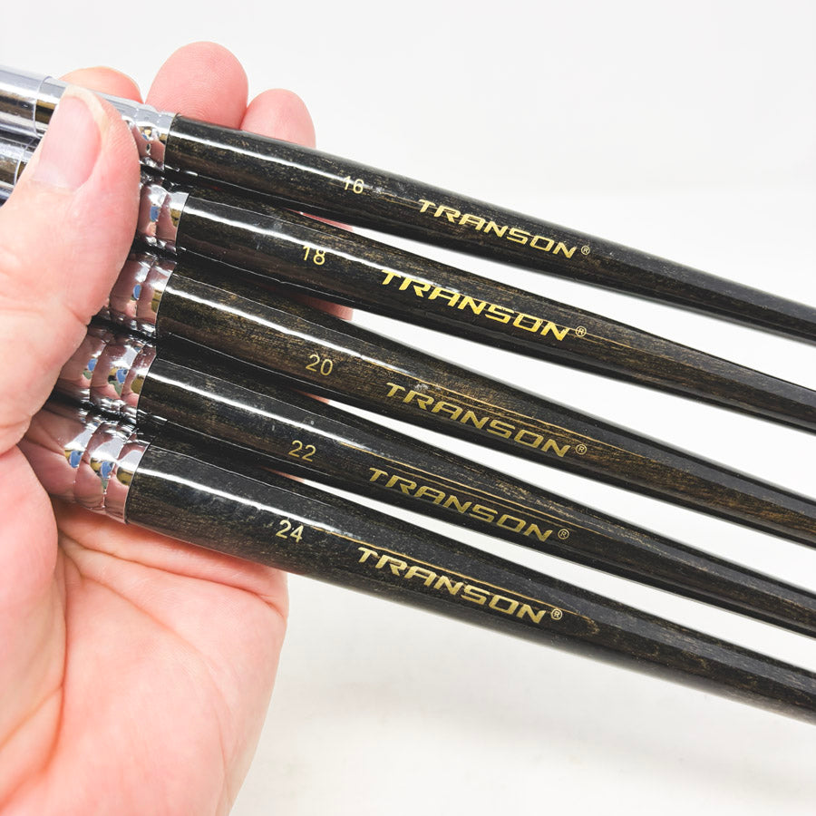 Transon Brush Set of 5