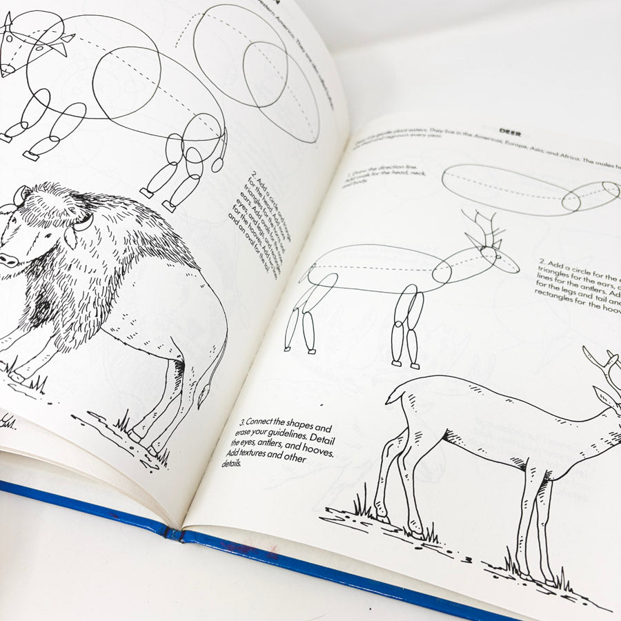 60 Things I Can Draw Books by Kaye Quinn