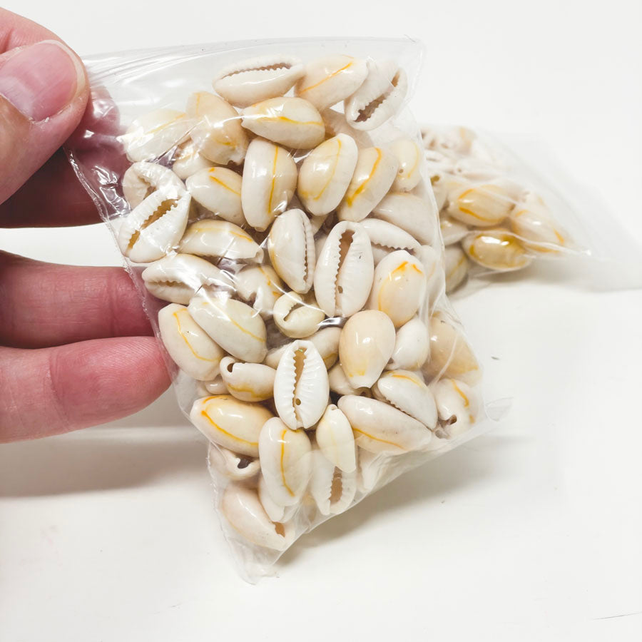 Natural Cowrie Shell Beads (1)