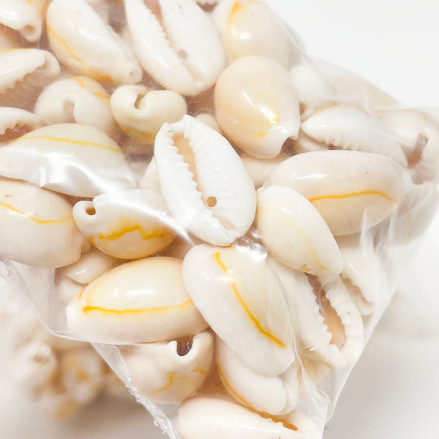Natural Cowrie Shell Beads (1)