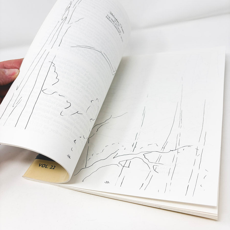 Scenic Treasures - Acrylics Vol. 22