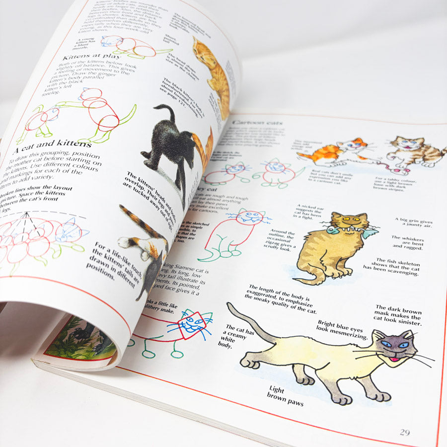 The Usborne Complete Book of Drawing