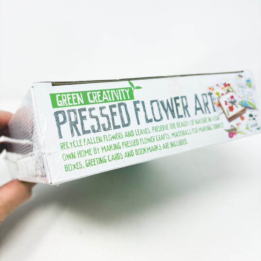 4M Green Creativity Pressed Flower Art (Sealed)
