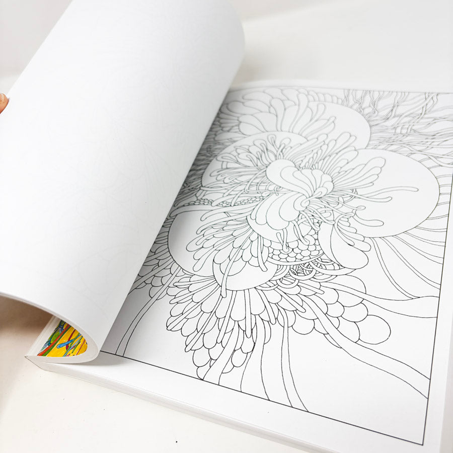 Mindfulness – Creative Haven Coloring Book