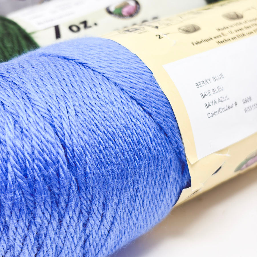 Green/Blue Caron Simply Soft Yarn - Pick a Color