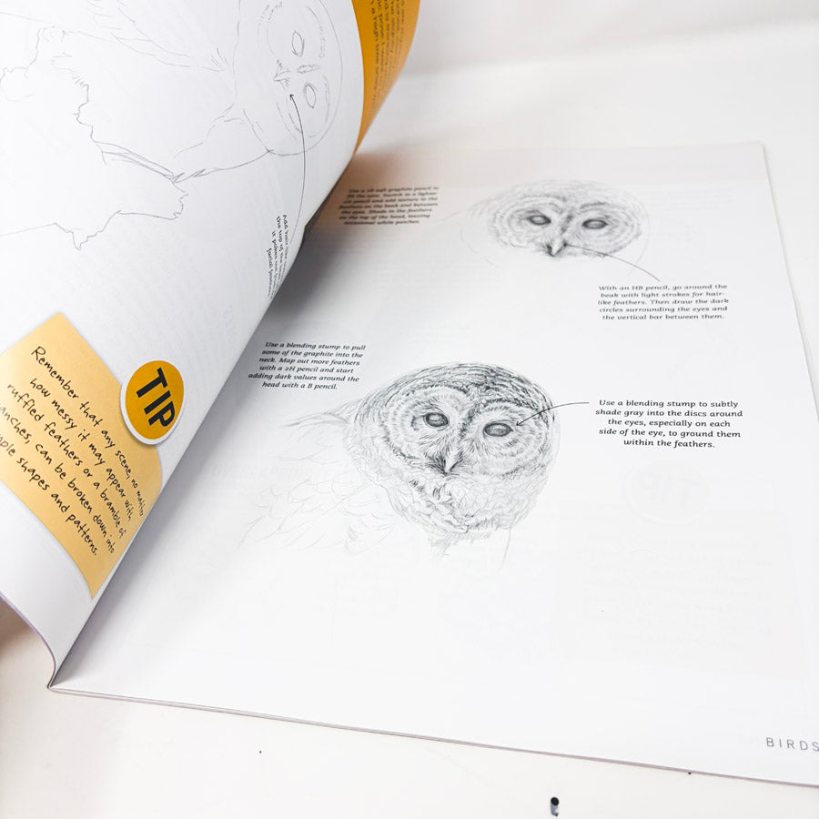 Walter Foster Drawing Birds Booklet