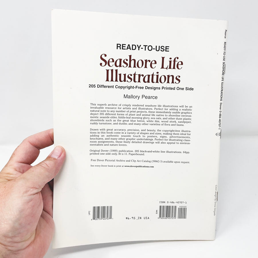 Seashore Life Illustrations Dover Clip Art Book