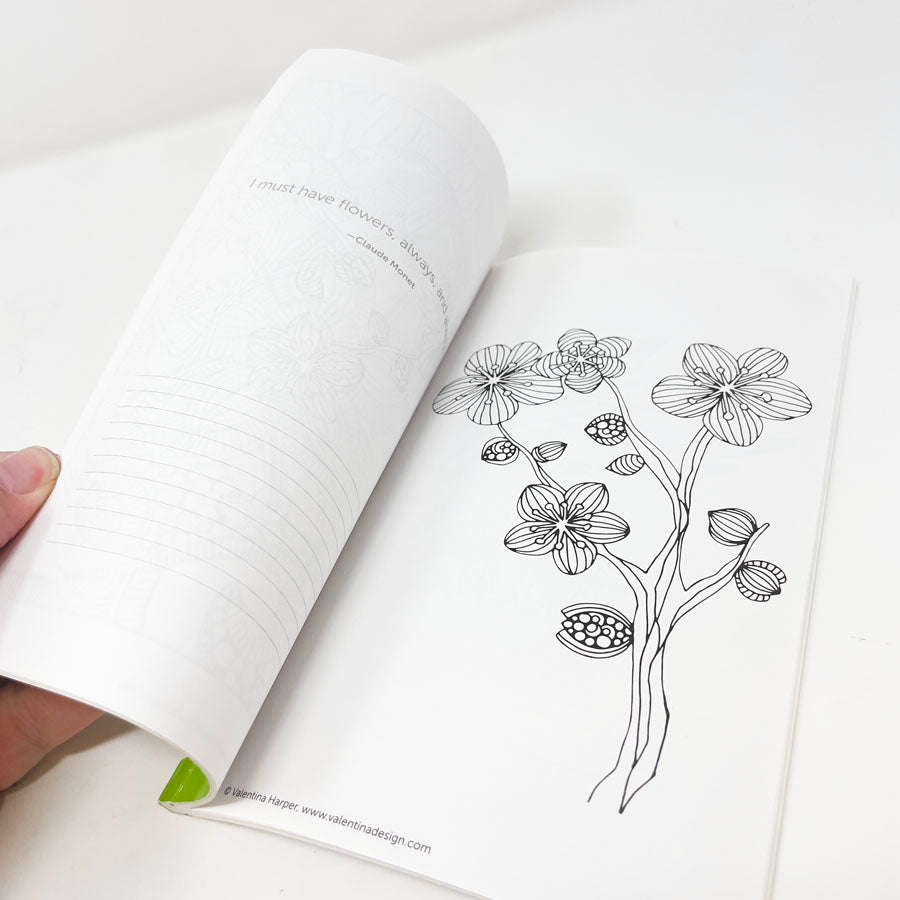 Color Zen Coloring Book by Design Originals